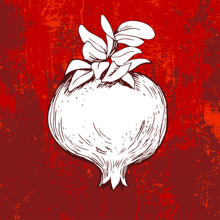 Hand drawn pomegranate on grunge red backgroundのイラスト素材