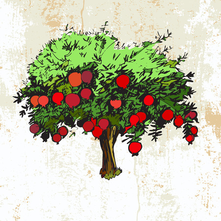 Hand drawn pomegranate tree on grunge backgroundのイラスト素材