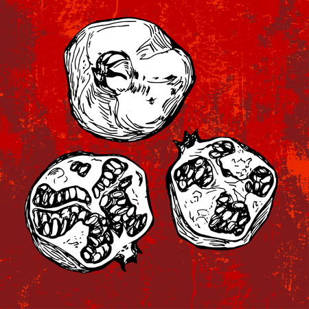 Hand drawn pomegranate on grunge red backgroundのイラスト素材