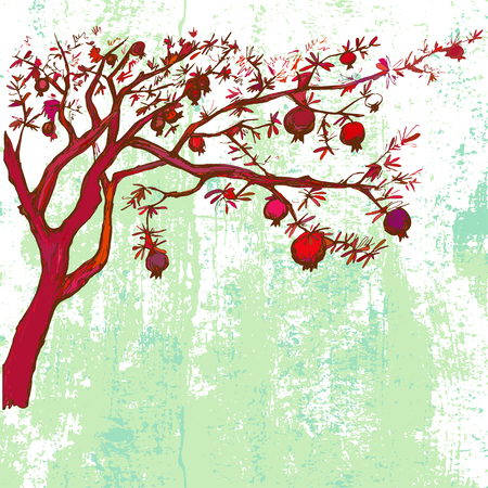 Hand drawn pomegranate tree on grunge backgroundのイラスト素材