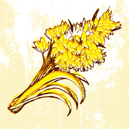 Hand drawn flowers on grunge backgroundのイラスト素材