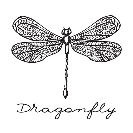 dragonfly with doodle drawn wingsのイラスト素材