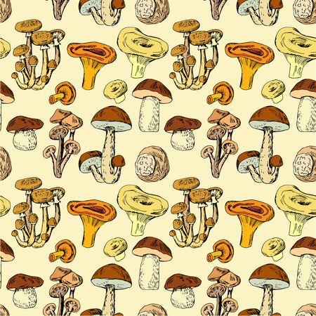 Seamless pattern with hand drawn edible mushroomsのイラスト素材