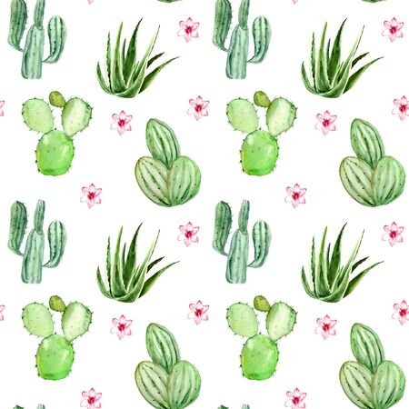 Watercolor cactus seamless pattern background. Artwork hand-drawn painted.
