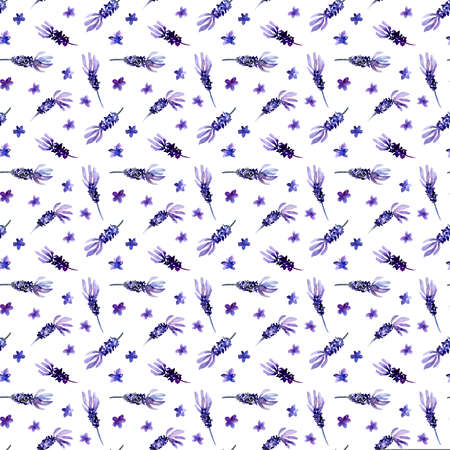 Watercolor Lavender seamless pattern on white background. Hand drawn, botanic deign paperの写真素材