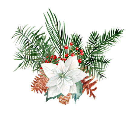 Isolated watercolor christmas composition hand drawn on white background with pine branches, flowers and leavesの写真素材