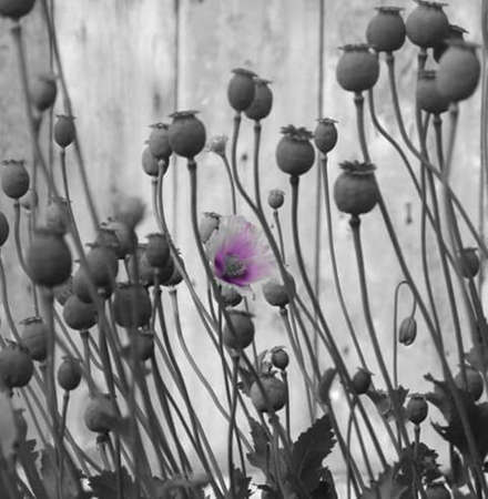 Lonelinessの写真素材