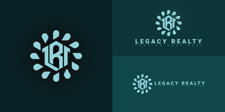 Modern hexagon vector initial letter LR or RL logo in blue color isolated on multiple background colors. The logo is suitable for real estate licensing service business logo designのイラスト素材