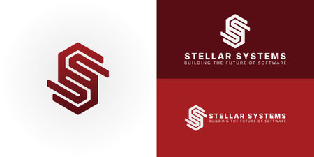 Geometric SS monogram within a bold hexagonal frame, symbolizing interconnectedness and strength....