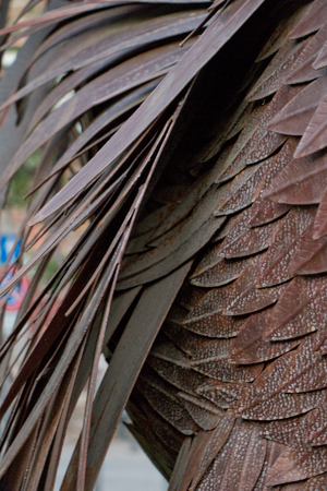 chianti rooster symbolの写真素材