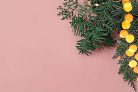 decorations for christmas, fir branches on a pink background. Lights in blur from aboveの写真素材