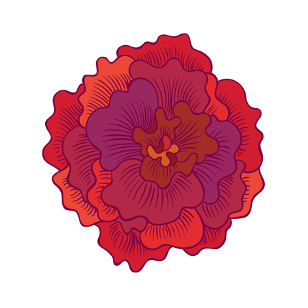 Exotic and jungle design with tropical flowers and leaves. Vector hand drawn illustration.のイラスト素材