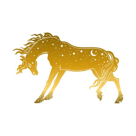 Dark Beautiful Horse. Magic vector illustration. Myth and fairytale, perfect for tattoo, stickers, t-shirt and etc.のイラスト素材