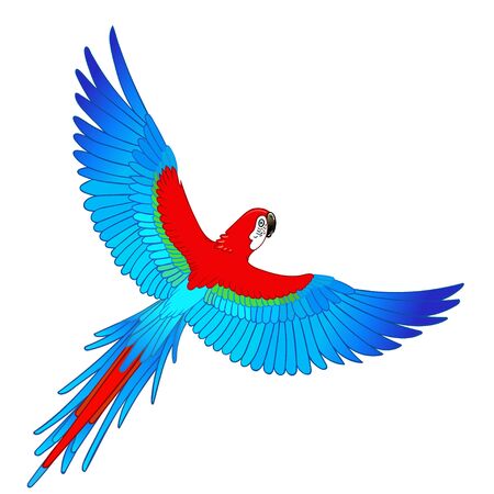 Beautiful tropical exotic parrot bird. Vector illustration.のイラスト素材