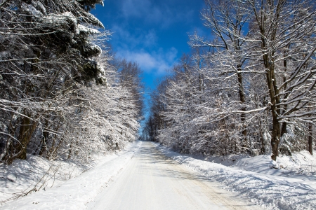 winter roadの写真素材