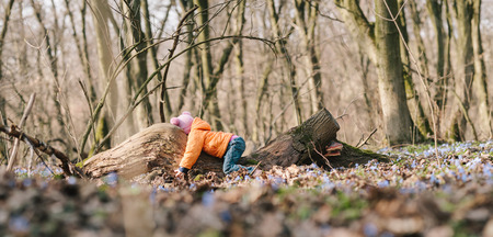 little girl learns nature. springtime. child hugg treeの写真素材