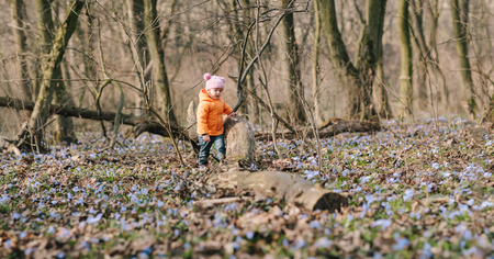 little girl learns nature. springtime. spring flowes. blossom. bloom.の写真素材