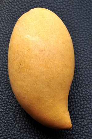 Mangoes have been cultivated in South Asia for thousands of yearsの写真素材