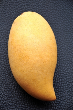 Mangoes have been cultivated in South Asia for thousands of yearsの写真素材
