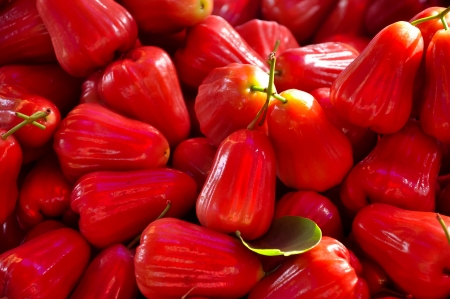Rose apples are mostly eaten out-of-hand by children.の写真素材