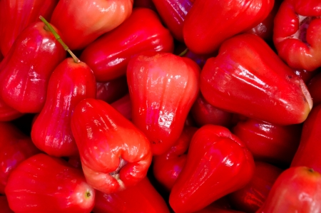 Rose apples are mostly eaten out-of-hand by children.の写真素材