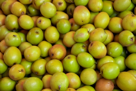 Ziziphus mauritiana, also known as Ber, Chinee Apple, Jujube, Indian plum and Masau is a tropical...
