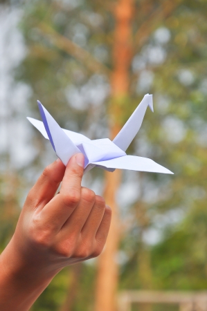 In Japan you can often see paper crane's hanged near temples.の写真素材