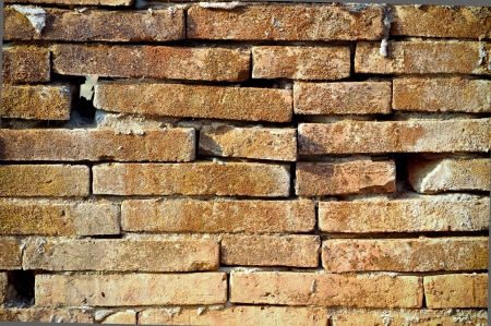 Old bricks with moss the dead are trapped on it の写真素材