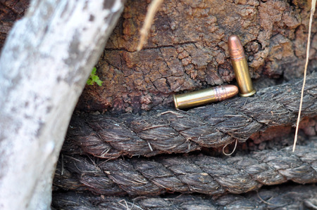  22 LR is effective to 150 yards or 140 m , though practical range tends to be less の写真素材