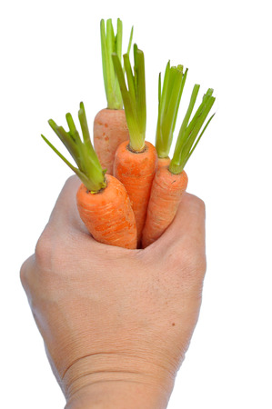 A baby carrot is an immature carrot on white background.の写真素材
