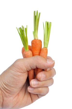 A baby carrot is an immature carrot on white background.の写真素材