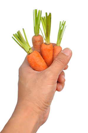 A baby carrot is an immature carrot on white background.の写真素材
