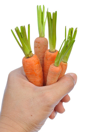 A baby carrot is an immature carrot on white background.の写真素材