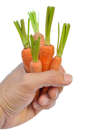 A baby carrot is an immature carrot on white background.の写真素材