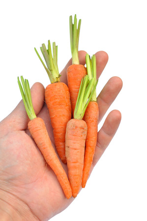 A baby carrot is an immature carrot on white background.の写真素材