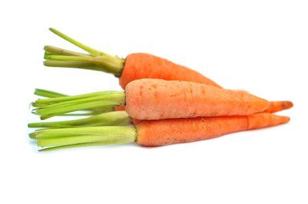 The immature roots of the carrot plant on white backgroundの写真素材