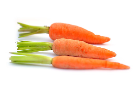 The immature roots of the carrot plant on white backgroundの写真素材