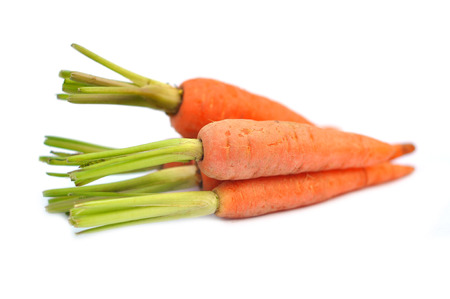 The immature roots of the carrot plant on white backgroundの写真素材