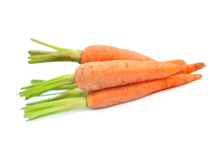 The immature roots of the carrot plant on white backgroundの写真素材