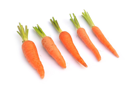 The immature roots of the carrot plant on white backgroundの写真素材