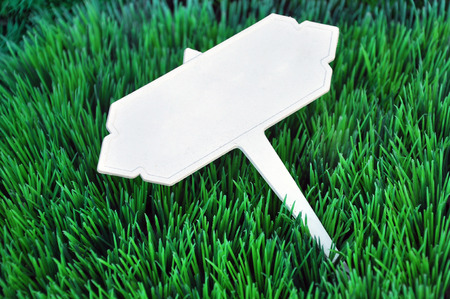 White retro lable put on green grassの写真素材