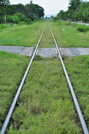 Railway tracks with grass covered up, but still can be used normally.の写真素材