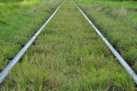 Railway tracks with grass covered up, but still can be used normally の写真素材