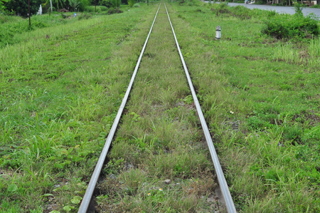 Railway tracks with grass covered up, but still can be used normally の写真素材