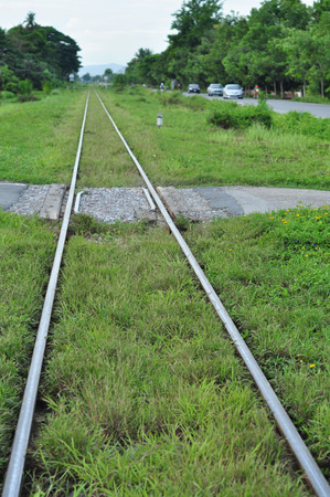 Railway tracks with grass covered up, but still can be used normally の写真素材