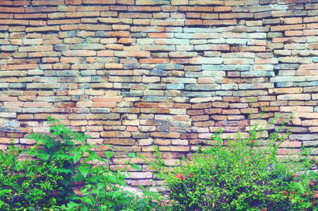 Old brick walls and bushes in front.の写真素材