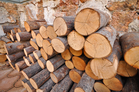 We use them for firewood as fuel to provide warmth in winter.の写真素材