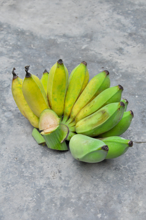 Bananas are harvested before its fruit is ripe, it is yellow.の写真素材