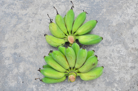 Bananas are harvested before its fruit is ripe, it is yellow.の写真素材
