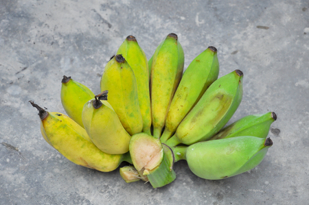 Bananas are harvested before its fruit is ripe, it is yellow.の写真素材
